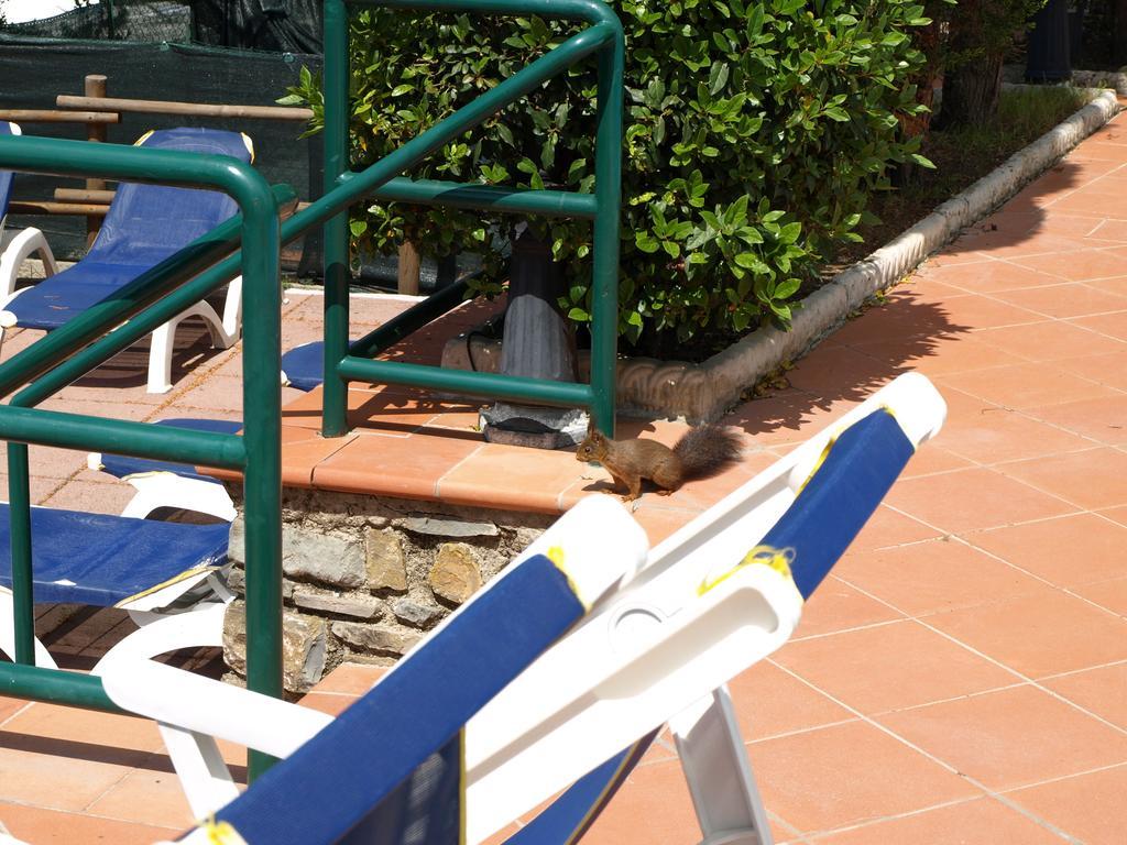 Camping Village Panoramico Fiesole Exterior photo