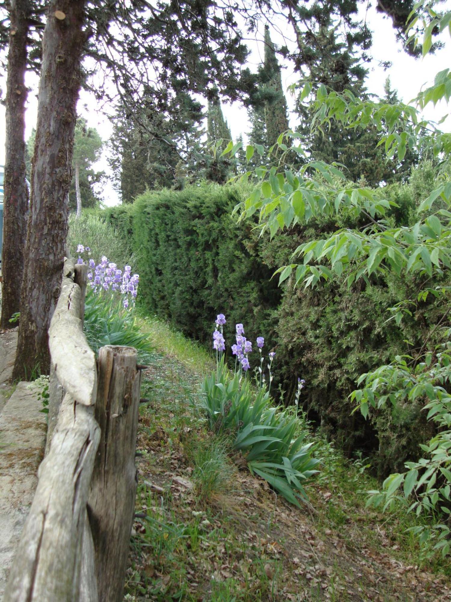 Camping Village Panoramico Fiesole Exterior photo